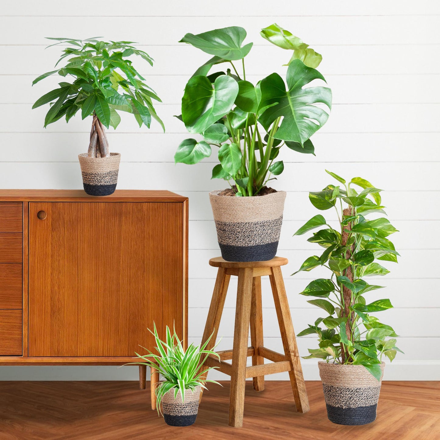 Easy Care Plantenbox - Medium | Weinig Onderhoud & Luchtzuiverend