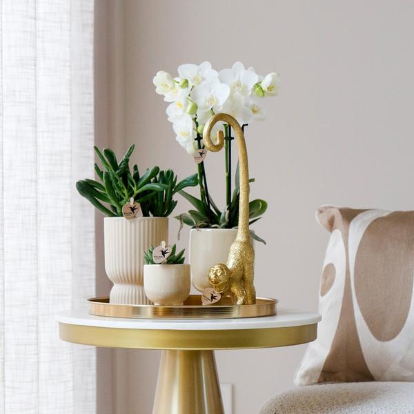 Gift set Luxury Living
