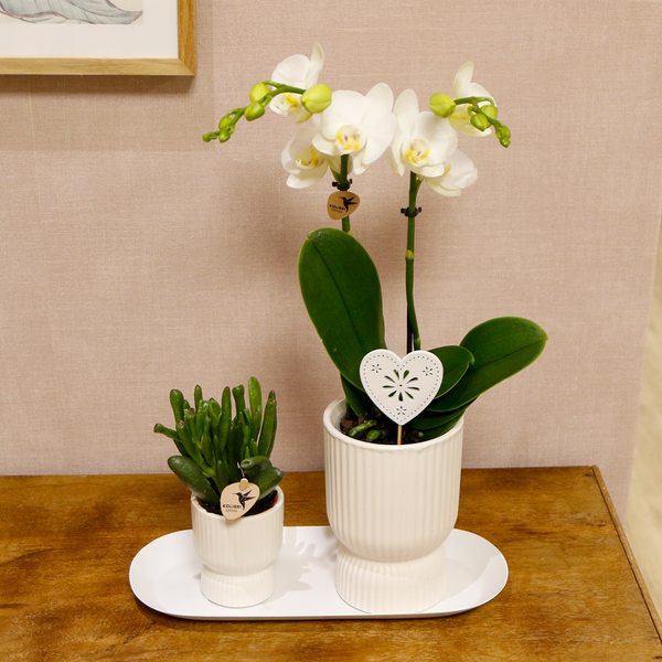 Gift set Love white small