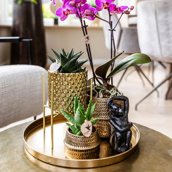 Gift set Hotel Chic