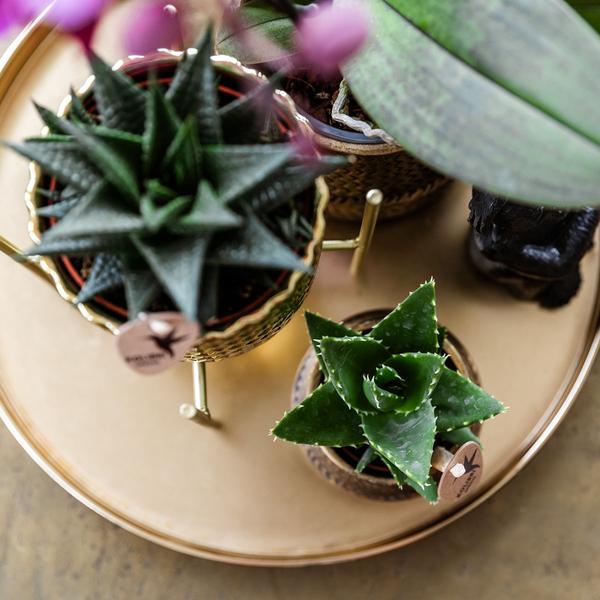 Gift set Hotel Chic
