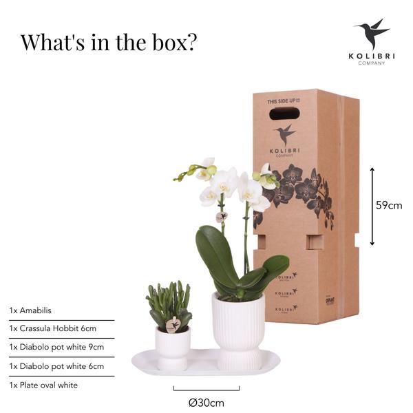 Gift set Love white small