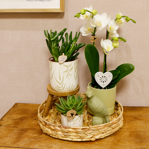 Gift set Love white