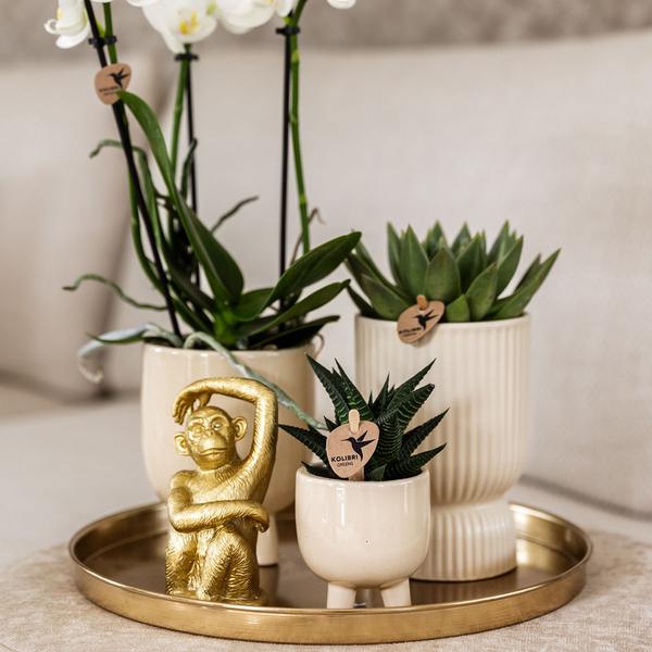 Gift set Luxury Living