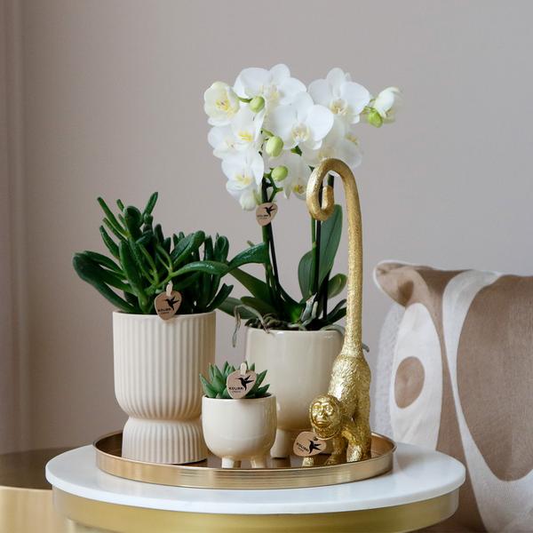 Gift set Luxury Living