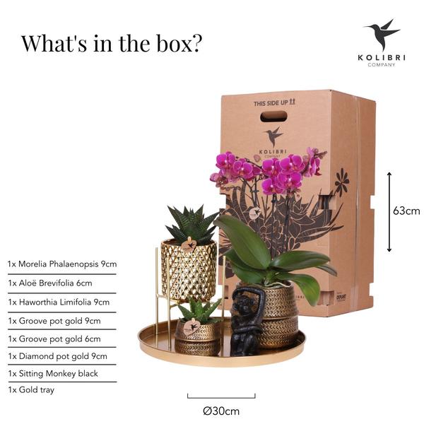 Gift set Hotel Chic