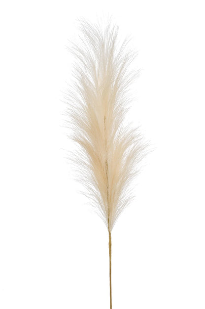 Pampas Plumes Kunstbloemen Crème