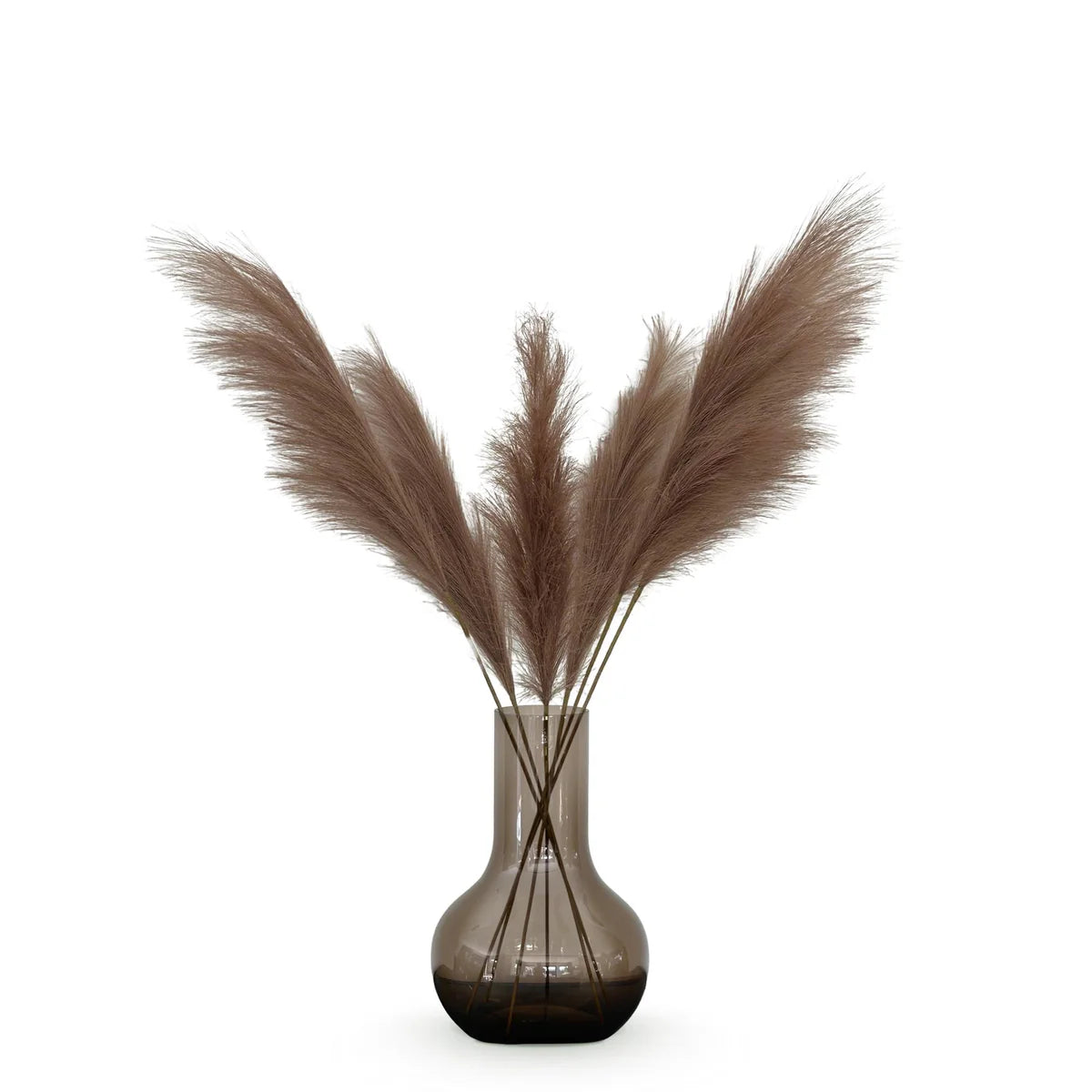 Pampas Plumes Kunstbloemen Bruin