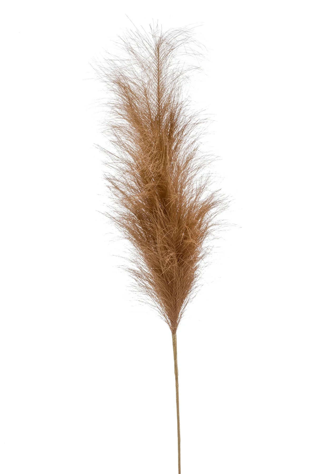 Pampas Plumes Kunstbloemen Bruin