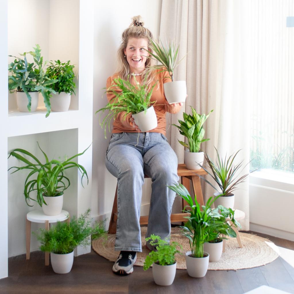 Groene Kneusjesbox - 12 Kamerplanten | Voordelig, Duurzaam & Makkelijk te Verzorgen
