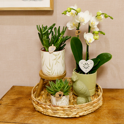 Gift set Love white