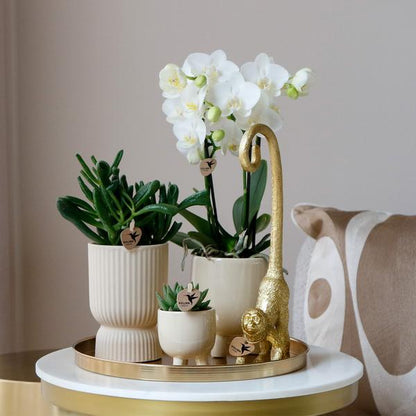 Gift set Luxury Living